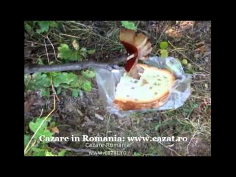 Cazare Ionesti, Brasov - Cazat.ro