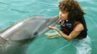 NBB-- &quot;I Need You (Sorry Girl)&quot;