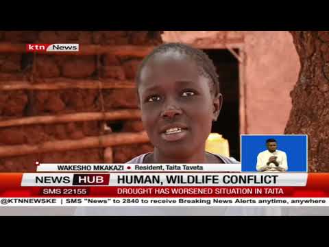 Taita Taveta residents in dilemma as they scramble for limited resources with wild animals