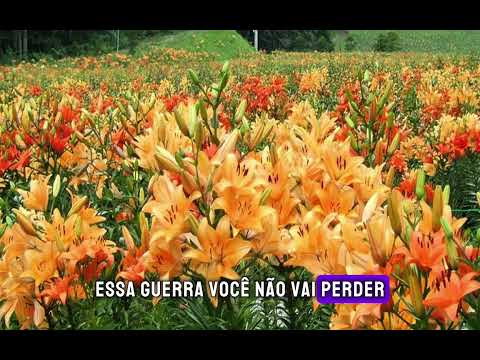 PLAYBACK- DEPOIS DA MURALHA / CHAGAS SOBRINHO (VERSÃO NOVA)