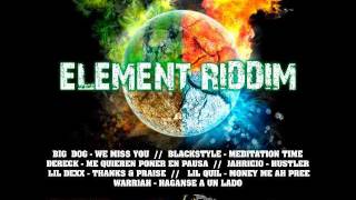 BIG DOG - WE MISS YOU (ELEMENT RIDDIM) Feb 2012.wmv