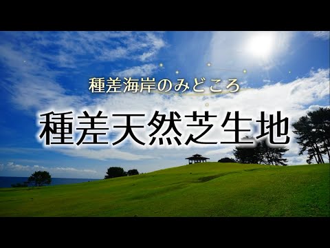 みちのく潮風トレイル「種差天然芝生地」