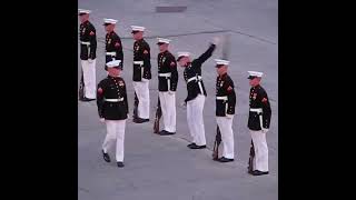 Meet the world's militaries 😭 #funny #military