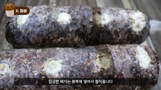 유튜브 썸네일