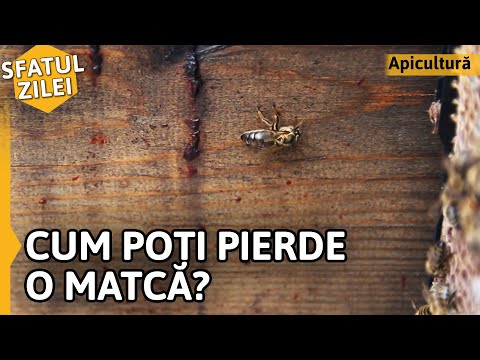 club pentru a pierde în greutate