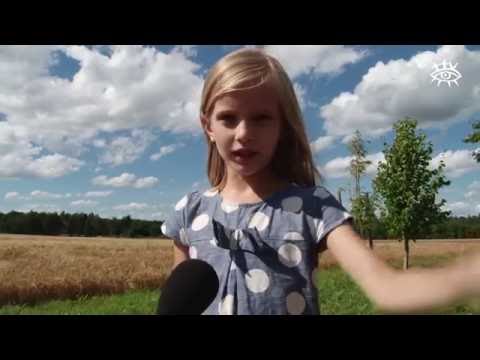 Tilgaļu dzimtas saiets