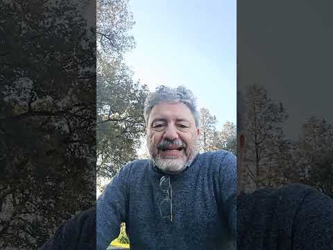 I 49 milioni della Lega secondo Chatgpt