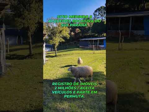 Sítio em Bocaiúva do Sul Paraná