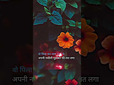 #viral #sahri #shorts