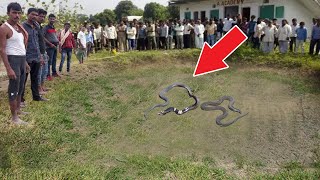 जब एक परिवार ने मारा नाग नागिन के जोड़े को ,4 घंटे बाद फिर जो हुआ उसे देख पूरा गांव कांपने लगा video