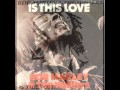 Bob Marley - One Love -  Is This Love (Demos)