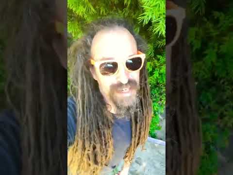 Raz Responds to Tim Heidecker’s Tropical Gum Rant | Tim and Eric React #shorts #timanderic #react