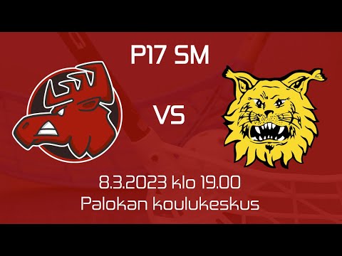 HAPPEE-ILVES P17 ylempijatkosarja