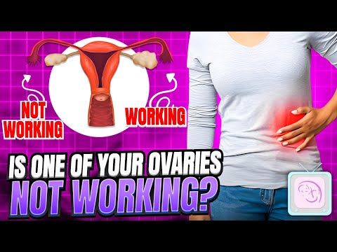 Ovulation Predictor Tests Will They Help You Become Pregnant