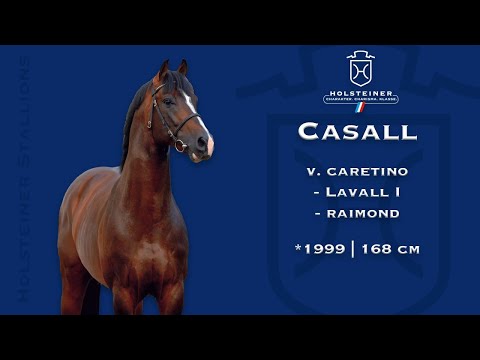 Holsteiner Verbandshengste 2023 | Casall