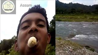 preview picture of video 'Micro adventure  in India (Assam)  | cycling vlog with beautiful natural beauty.'