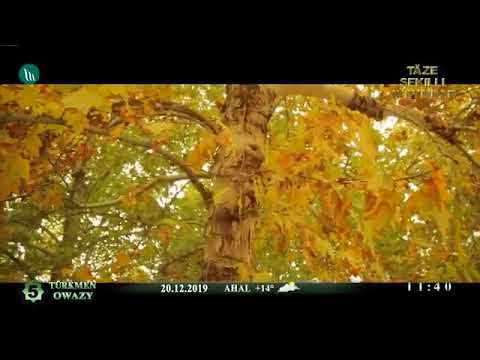 Aly Alyyew- sary yaprak 2019