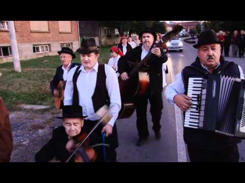 Potočić maleni Budrovački bečari