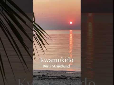 Kwamukido  - Buria Stringband