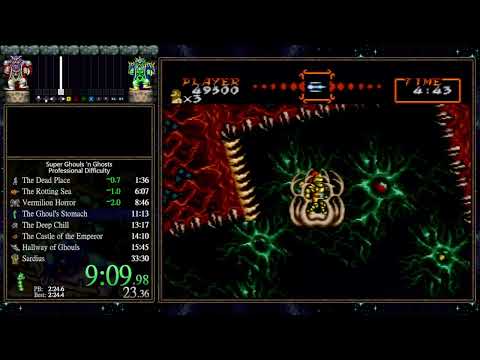 Super Ghouls 'N Ghosts Professional Difficulty speedrun WR - 33:07.7