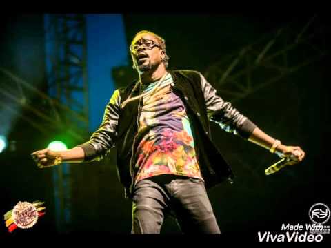 Beenie Man Ft Craigy T - No Apology