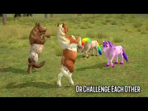 Pony Multiplayer Video