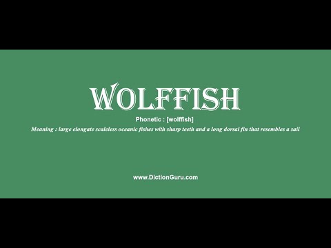 wolffish: How to pronounce wolffish with Phonetic and Examples