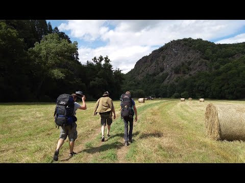 Dáma s hranostajem - Žít svůj sen