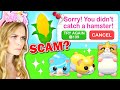 *NEW* Hamsters Update In Adopt Me! Will I Get SCAMMED?! (Roblox)