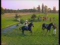 1987 Velká Pardubická Steeplechase