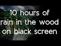 🎧 ☁ Rain in the woods sound on black screen dark screen high quality white noise ASMR