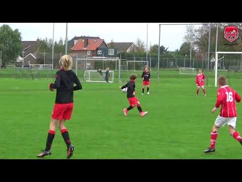 SteDoCo JO13-3 - Everstein JO13-1