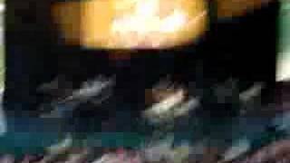 We Come To Party~Corbin Bleu Live in Cleveland Ohio 8/29/07