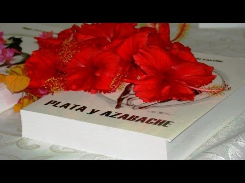 FG El Cristo de La Mata - Francisco Rivero (El Nacionalista)