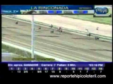 Resumen Domingo 30 de Octubre de 2011 - La Rinconada