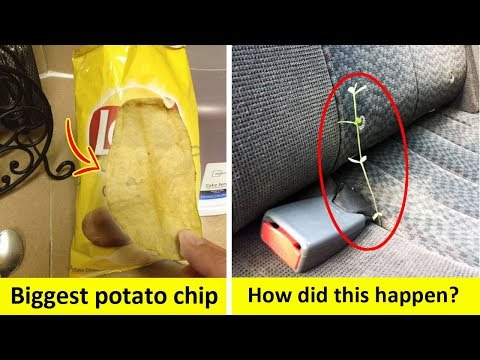 10+ People Shared Their Unexpected Finds That Happen Once in a Lifetime (Part 2!) Video