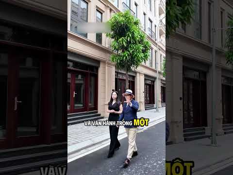 Video dự án 4