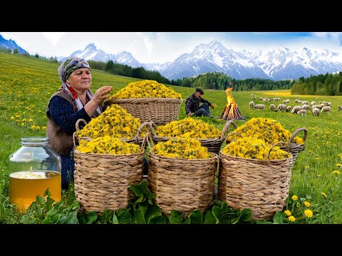 🌶 Nature's Sweetness: Preparing Dandelion Syrup in the Mountains | ASMR video