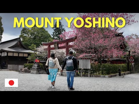 🇯🇵 Mount Yoshino Before Peak Sakura | What We Actually Found