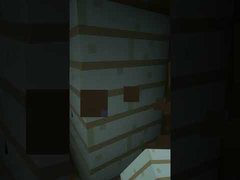 "Lok builds insane 1x1 Minecraft house!" 🏠
