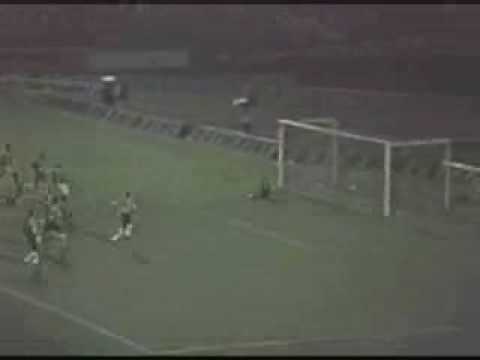 1993 - Palmeiras 2 x 2  Rio Branco