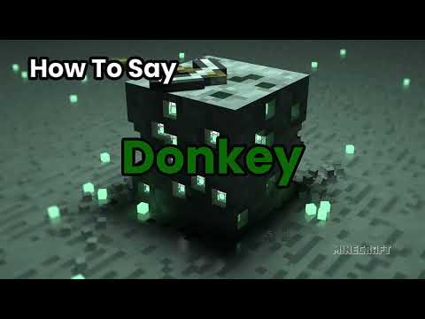 How To Pronounce Donkey? Name Definition & Pronunciation Guide