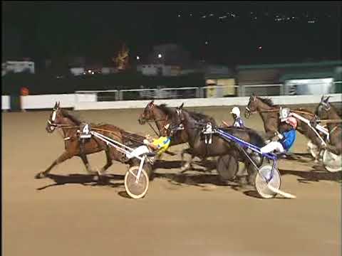 Trotto 12/08/2017 - 3ª corsa