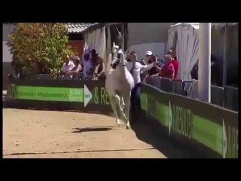 الأنيق خالد الحمد 😍