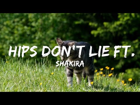 Play List ||  Shakira - Hips Don't Lie ft. Wyclef Jean  || Cumings Music