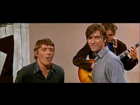 NEW * Tobacco Road - Nashville Teens {Stereo} 1964
