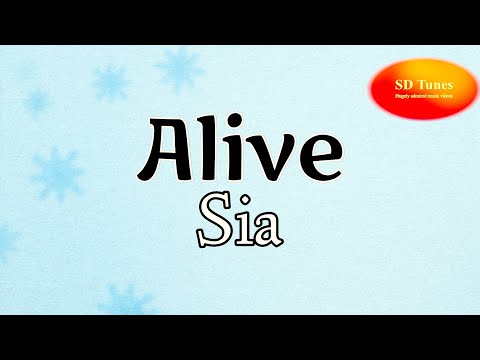 Video 8