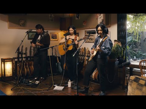 "Spinning" - Mini Trees (Live in the Studio)