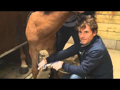 download lagu mp3 mp4 Dr Poulain Luxembourg, download mp3 Dr Poulain Luxembourg free download mp3, download mp3 Dr Poulain Luxembourg