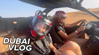 what we did for 3 days in DUBAI